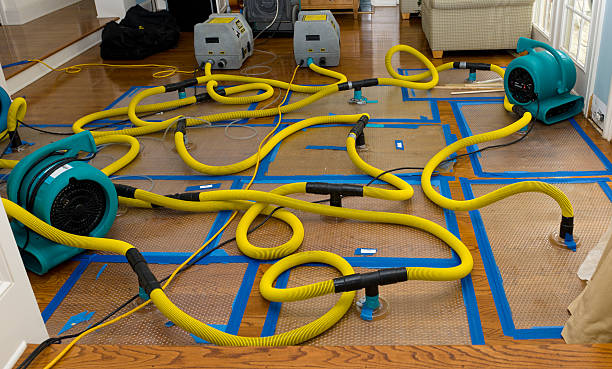 Professional Sewage Cleanup technician working in Cotton, MN